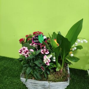 muguet