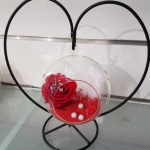 roses_eternelles