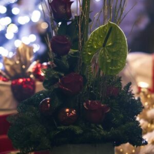 Noel