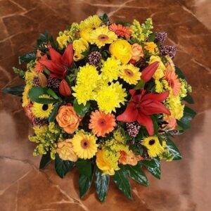 coussin_couleur