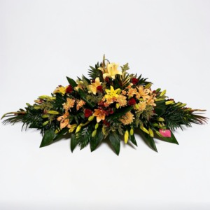 Dessus_Cerceuil_Colore