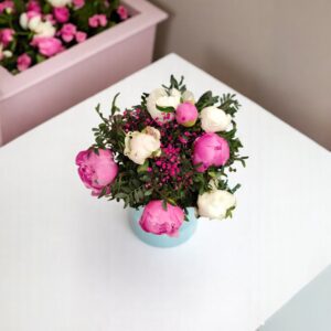 pivoine_rose_blanc